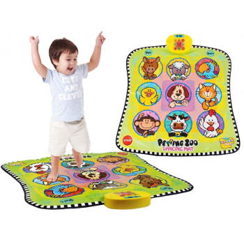 Mata zręcznościowa 